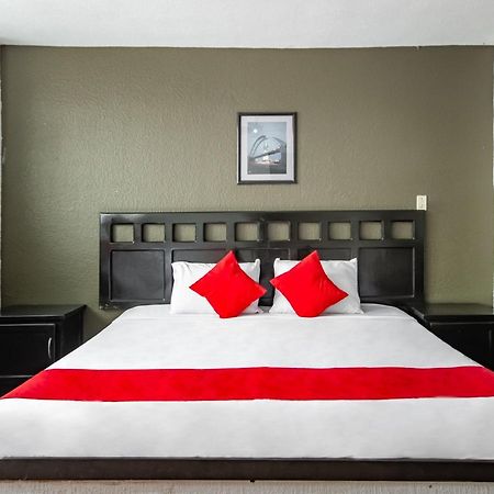 לאון Hotel Halley מראה חיצוני תמונה