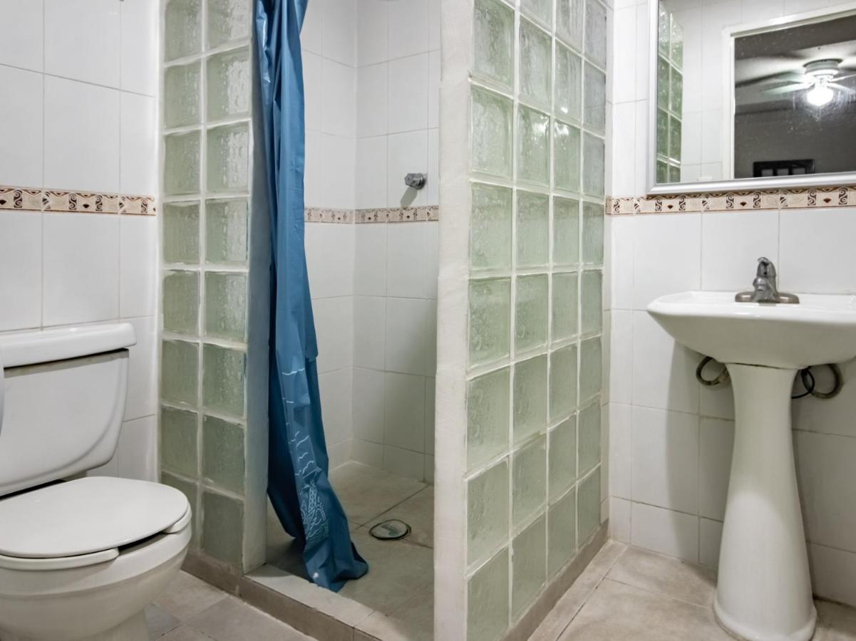 לאון Hotel Halley מראה חיצוני תמונה